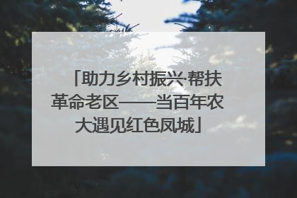 助力乡村振兴·帮扶革命老区——当百年农大遇见红色凤城
