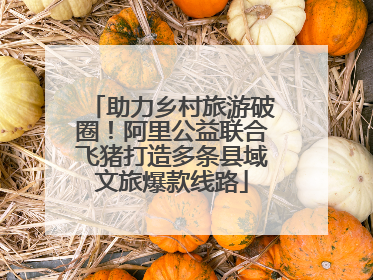 助力乡村旅游破圈！阿里公益联合飞猪打造多条县域文旅爆款线路