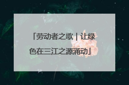 劳动者之歌｜让绿色在三江之源涌动