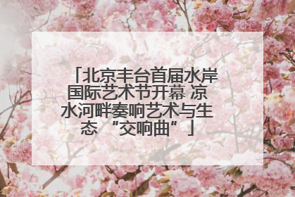 北京丰台首届水岸国际艺术节开幕 凉水河畔奏响艺术与生态 “交响曲”