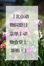 北京动物园夏日菜单丨动物食堂上新啦！