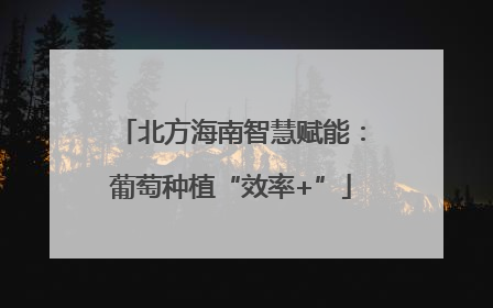 北方海南智慧赋能：葡萄种植“效率+”