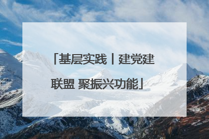 基层实践丨建党建联盟 聚振兴功能