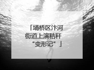埇桥区汴河街道上演秸秆“变形记”