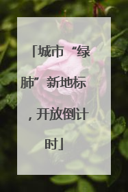 城市“绿肺”新地标，开放倒计时