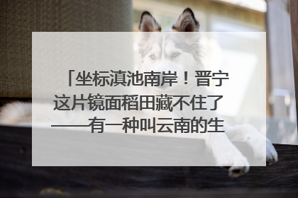 坐标滇池南岸！晋宁这片镜面稻田藏不住了——有一种叫云南的生活之365天
