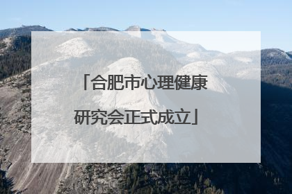 合肥市心理健康研究会正式成立