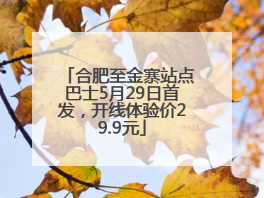 合肥至金寨站点巴士5月29日首发，开线体验价29.9元