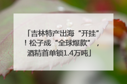 吉林特产出海“开挂”！松子成“全球爆款”，酒精首单锁1.4万吨
