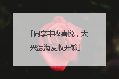 同享丰收喜悦，大兴瀛海麦收开镰