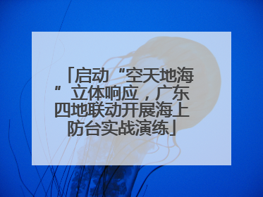 启动“空天地海”立体响应，广东四地联动开展海上防台实战演练