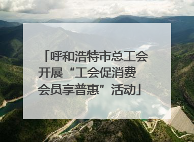 呼和浩特市总工会开展“工会促消费 会员享普惠”活动
