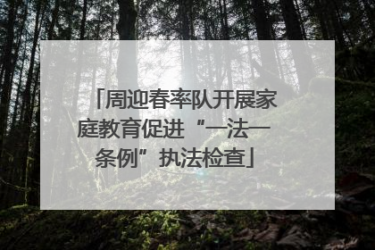 周迎春率队开展家庭教育促进“一法一条例”执法检查