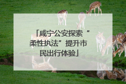 咸宁公安探索“柔性执法”提升市民出行体验