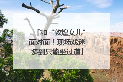 和“敦煌女儿”面对面！现场戏迷多到只能坐过道