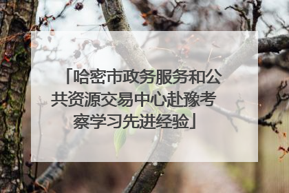 哈密市政务服务和公共资源交易中心赴豫考察学习先进经验