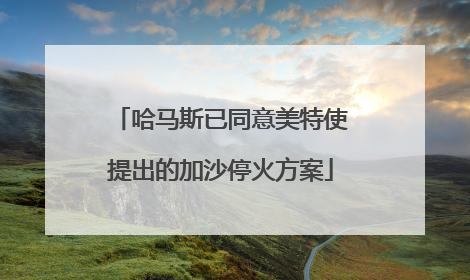 哈马斯已同意美特使提出的加沙停火方案