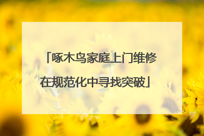 啄木鸟家庭上门维修在规范化中寻找突破