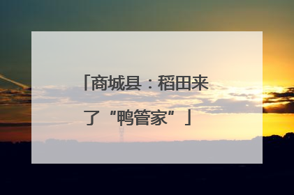 商城县：稻田来了“鸭管家”