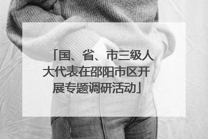 国、省、市三级人大代表在邵阳市区开展专题调研活动