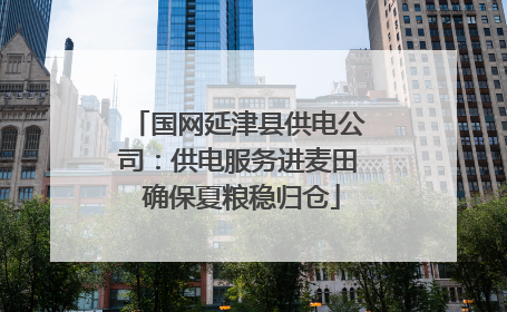 国网延津县供电公司：供电服务进麦田 确保夏粮稳归仓