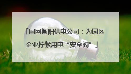 国网衡阳供电公司：为园区企业拧紧用电“安全阀”