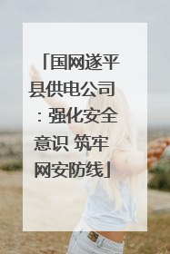 国网遂平县供电公司：强化安全意识 筑牢网安防线