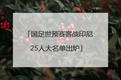 国足世预赛客战印尼25人大名单出炉