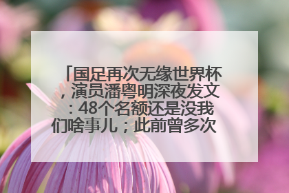 国足再次无缘世界杯，演员潘粤明深夜发文：48个名额还是没我们啥事儿；此前曾多次为国足发声