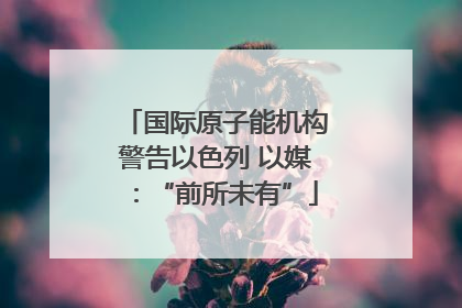 国际原子能机构警告以色列 以媒：“前所未有”
