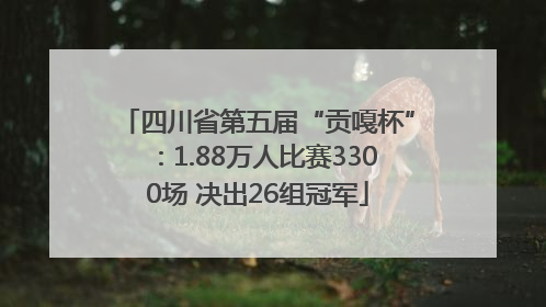 四川省第五届“贡嘎杯”：1.88万人比赛3300场 决出26组冠军
