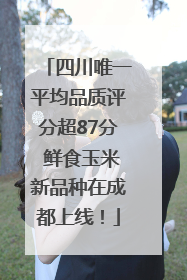 四川唯一平均品质评分超87分 鲜食玉米新品种在成都上线！