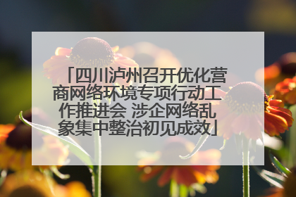 四川泸州召开优化营商网络环境专项行动工作推进会 涉企网络乱象集中整治初见成效