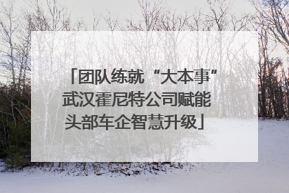 团队练就“大本事” 武汉霍尼特公司赋能头部车企智慧升级