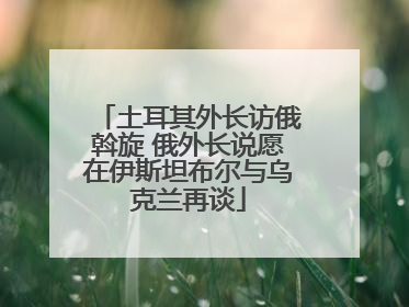 土耳其外长访俄斡旋 俄外长说愿在伊斯坦布尔与乌克兰再谈