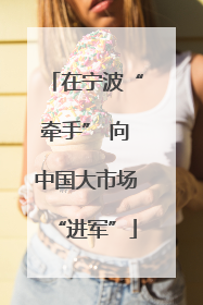在宁波“牵手” 向中国大市场“进军”