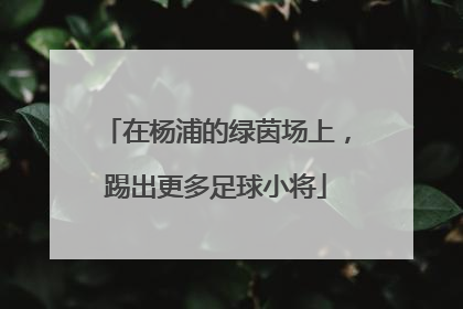 在杨浦的绿茵场上，踢出更多足球小将
