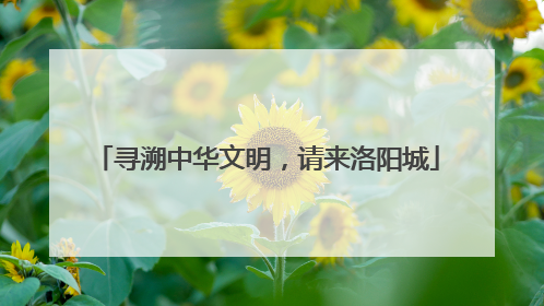 寻溯中华文明，请来洛阳城