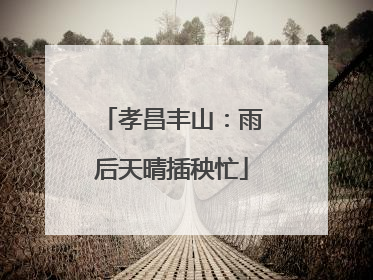孝昌丰山：雨后天晴插秧忙