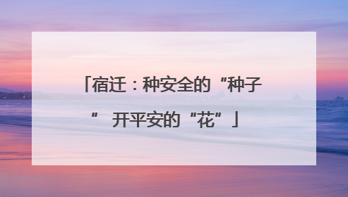 宿迁：种安全的“种子” 开平安的“花”