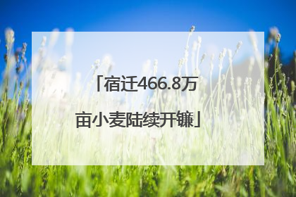 宿迁466.8万亩小麦陆续开镰