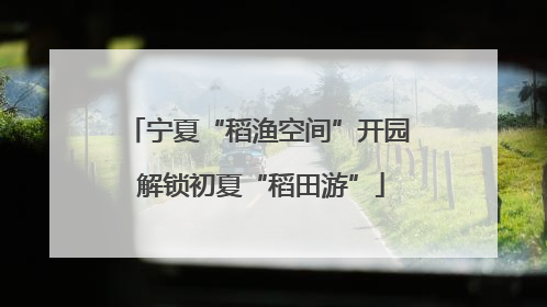 宁夏“稻渔空间”开园 解锁初夏“稻田游”