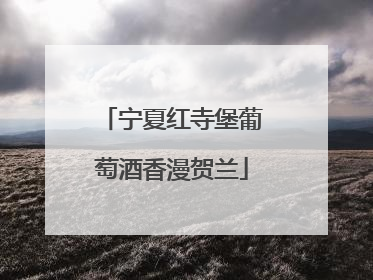 宁夏红寺堡葡萄酒香漫贺兰