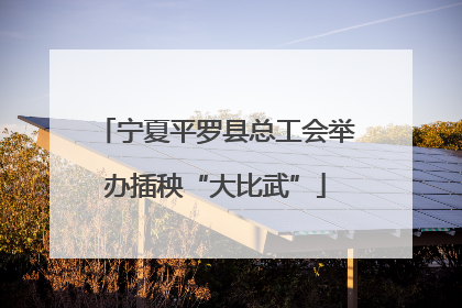宁夏平罗县总工会举办插秧“大比武”