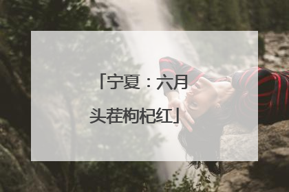 宁夏：六月头茬枸杞红