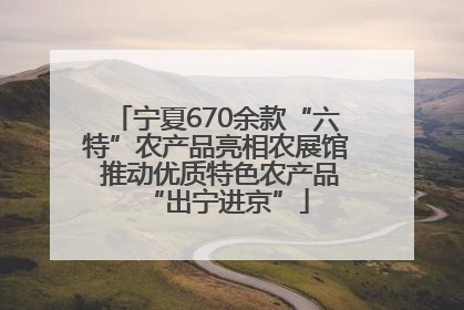 宁夏670余款“六特”农产品亮相农展馆 推动优质特色农产品“出宁进京”