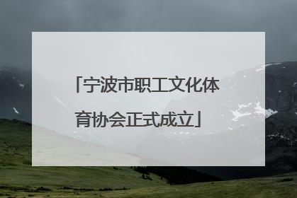 宁波市职工文化体育协会正式成立