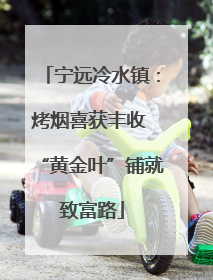 宁远冷水镇：烤烟喜获丰收 “黄金叶”铺就致富路