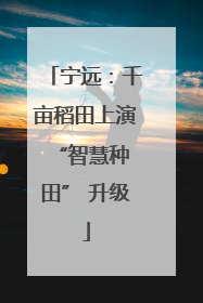 宁远：千亩稻田上演 “智慧种田” 升级