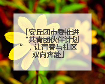 安丘团市委推进“共青团伙伴计划”，让青春与社区双向奔赴